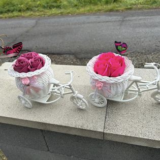 bici